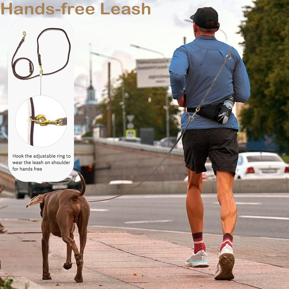 Tali Anjing Kulit Multifungsi, - Leather Strap Quick Release ulasan dan harga